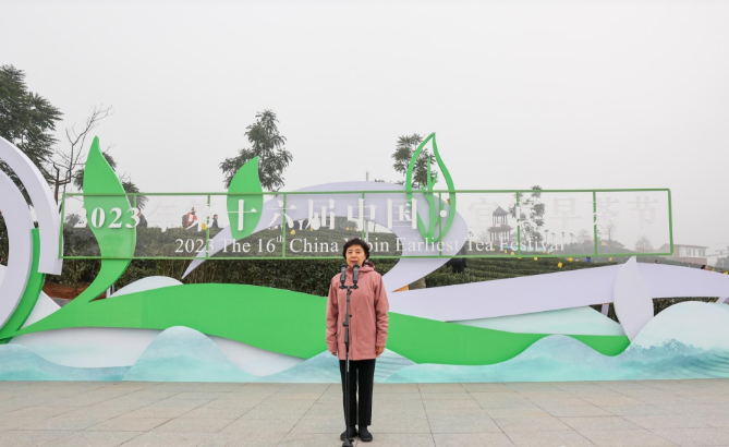 2023年第十六届中国·宜宾早茶节开园采茶活动举行