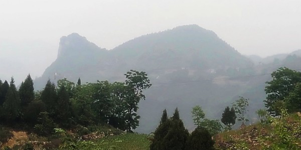 古蔺神龟花谷风景区欢迎您